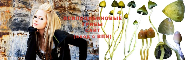 ПСИЛОЦИБИНОВЫЕ ГРИБЫ Лиски