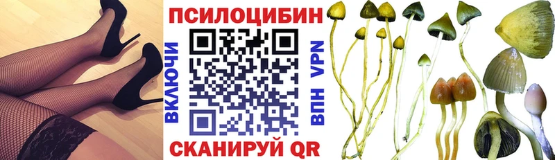 дарк нет формула  Новая Усмань  Псилоцибиновые грибы MAGIC MUSHROOMS 