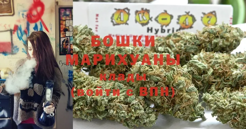 Шишки марихуана сатива  Новая Усмань 